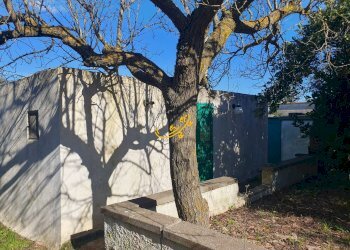 Foto 8 - Rustico Contrada Cappelluzzo, Ostuni - foto 8