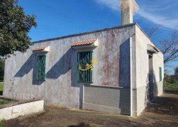 Foto 9 - Rustico Contrada Cappelluzzo, Ostuni - foto 9