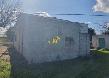 Foto 10 - Rustico Contrada Cappelluzzo, Ostuni - foto 10