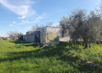 Foto 13 - Rustico Contrada Cappelluzzo, Ostuni - foto 13