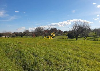 Foto 14 - Rustico Contrada Cappelluzzo, Ostuni - foto 14