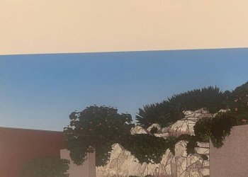 Villa via Generale Antonio Cantore, Varese - photo 12