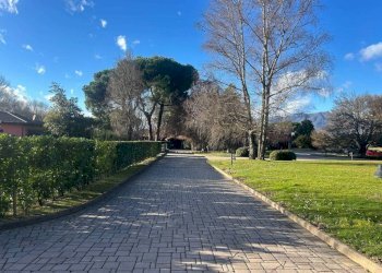 Giardino - Villa via Generale Antonio Cantore, Varese - photo 15