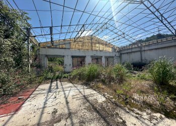 Foto 1 - Capannone Via Sardorella
 
16, Genova - foto 1