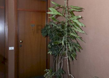 Hall / corridoio - Trilocale VICOLO MONVISO
 
4, Nova Milanese - foto 8