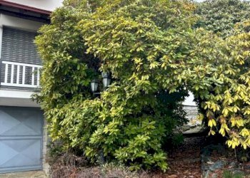 Giardino - Villa Case del Gallo, 16, Corio - photo 34