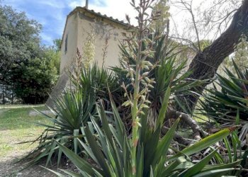 Rustico podere santo ottaviano 74, Pomarance - foto 12