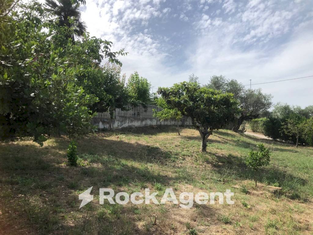 Terreno - Villa strada Provinciale 45, Moscufo - photo 2