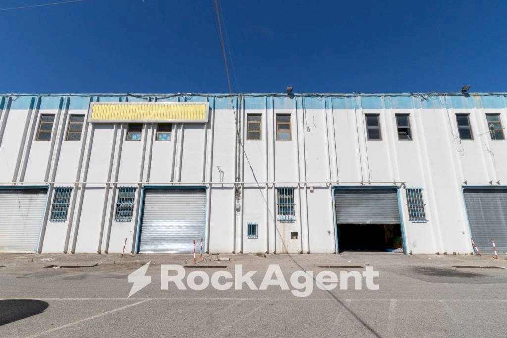 Negozio viale Lucrezia della Valle, Catanzaro - foto 1