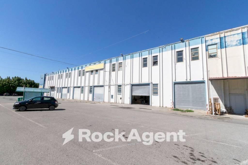 Negozio viale Lucrezia della Valle, Catanzaro - foto 3