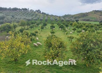 Terreno agricolo strada Statale 107 Silana Crotonese, Crotone - foto 2