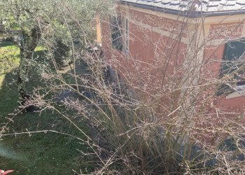 Villa Via Domenico Canata, Cogorno - foto 11