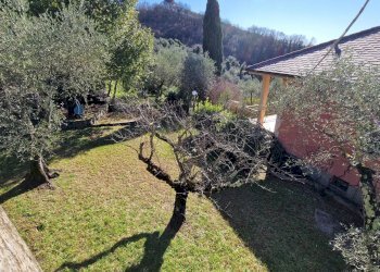 Villa Via Domenico Canata, Cogorno - foto 14