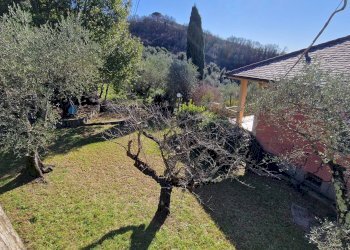 Villa Via Domenico Canata, Cogorno - foto 15