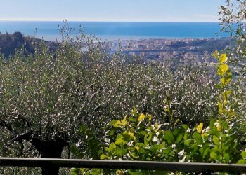 Villa Via Domenico Canata, Cogorno - foto 32