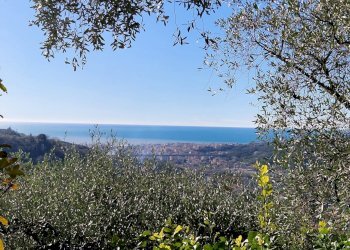 Villa Via Domenico Canata, Cogorno - foto 33