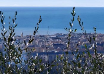 Villa Via Domenico Canata, Cogorno - foto 43