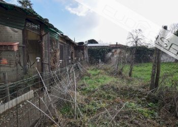 Three-room apartment Via Gustavo Odino 11, San Secondo di Pinerolo - photo 24