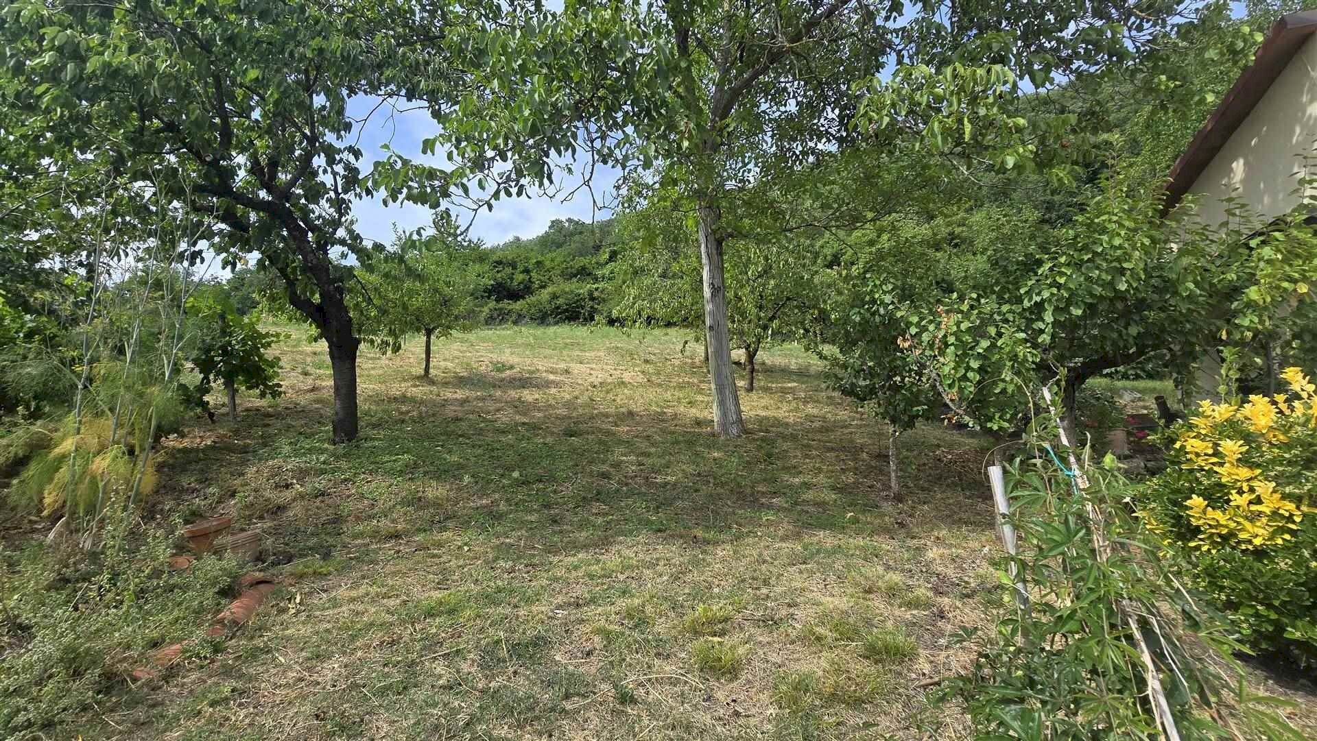 Rustico Zocca - foto 3