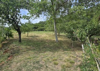 Rustic Zocca - photo 3