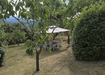 Rustic Zocca - photo 4