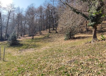 Casa indipendente via borgata ostana, Martiniana Po - foto 45