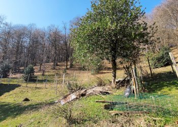 Casa indipendente via borgata ostana, Martiniana Po - foto 8
