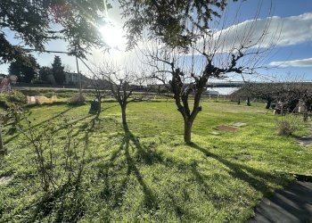 Giardino - Villa Bifamiliare San Prospero, 136 A, Imola - foto 2