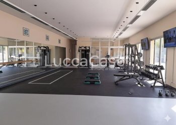 Commercial Premises Lucca (neighborhood San Concordio Contrada) - photo 1