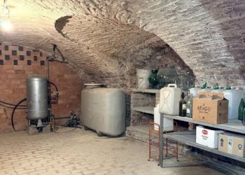 Rustico Frazione Castiglione, Asti - foto 28