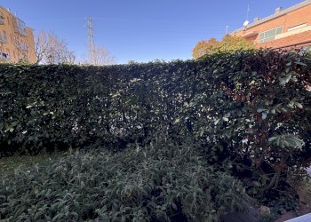 Apartment , ZONA RESIDENZIALE AD.ZE OSPEDALE MAGGIORE Bologna, Bologna (neighborhood Borgo Panigale) - photo 18