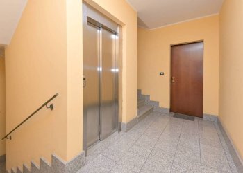 Trilocale Collegno - foto 9