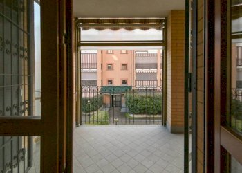 Trilocale Collegno - foto 11