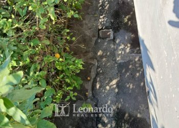 Foto 31 - Appartamento Via Pellegrini, Massarosa - foto 30