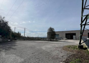 Foto 14 - Capannone via Colonnetta
 
60, Montopoli di Sabina - foto 14