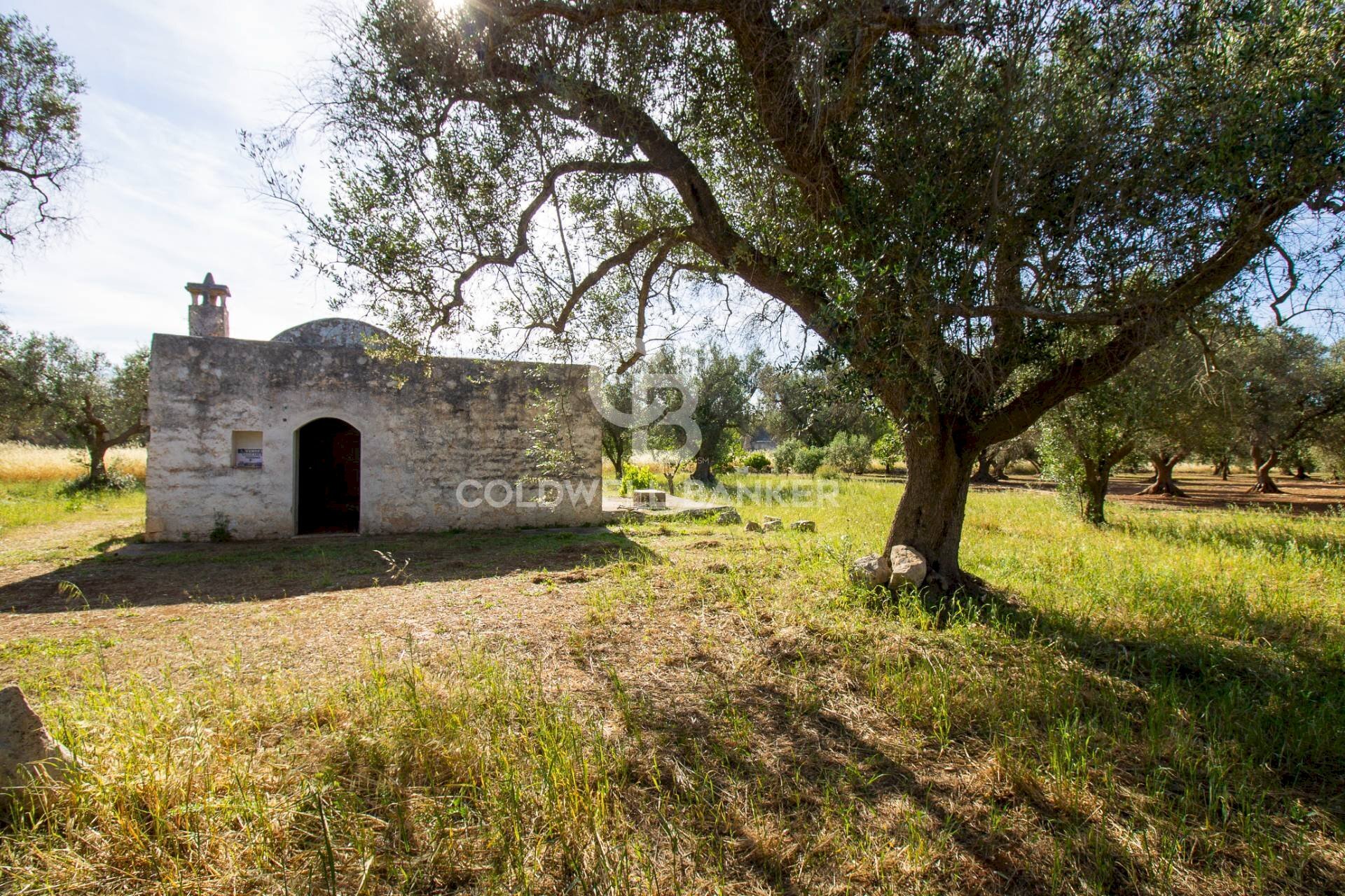 Foto 1 - Rustico snc, Latiano - foto 1