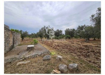 Foto 6 - Rustico Contrada Specchia
 
snc, Latiano - foto 6