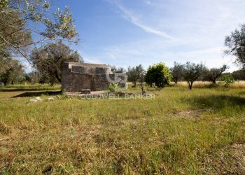 Foto 46 - Rustico snc, Latiano - foto 46