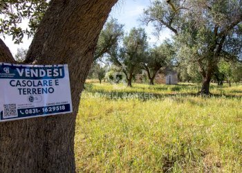 Foto 47 - Rustico snc, Latiano - foto 47