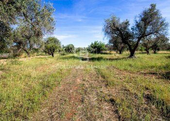 Foto 49 - Rustico snc, Latiano - foto 49