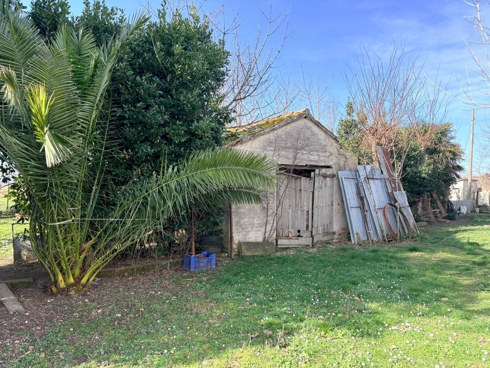 Foto 3 - Rustico san bernardo, Chiaravalle - foto 3