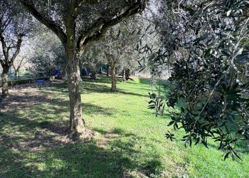 Foto 5 - Rustico san bernardo, Chiaravalle - foto 5