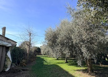 Foto 9 - Rustico san bernardo, Chiaravalle - foto 9