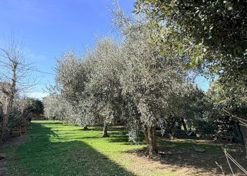 Foto 10 - Rustico san bernardo, Chiaravalle - foto 10