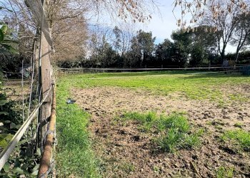 Foto 7 - Rustico san bernardo, Chiaravalle - foto 7