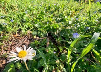 Foto 8 - Rustico san bernardo, Chiaravalle - foto 8