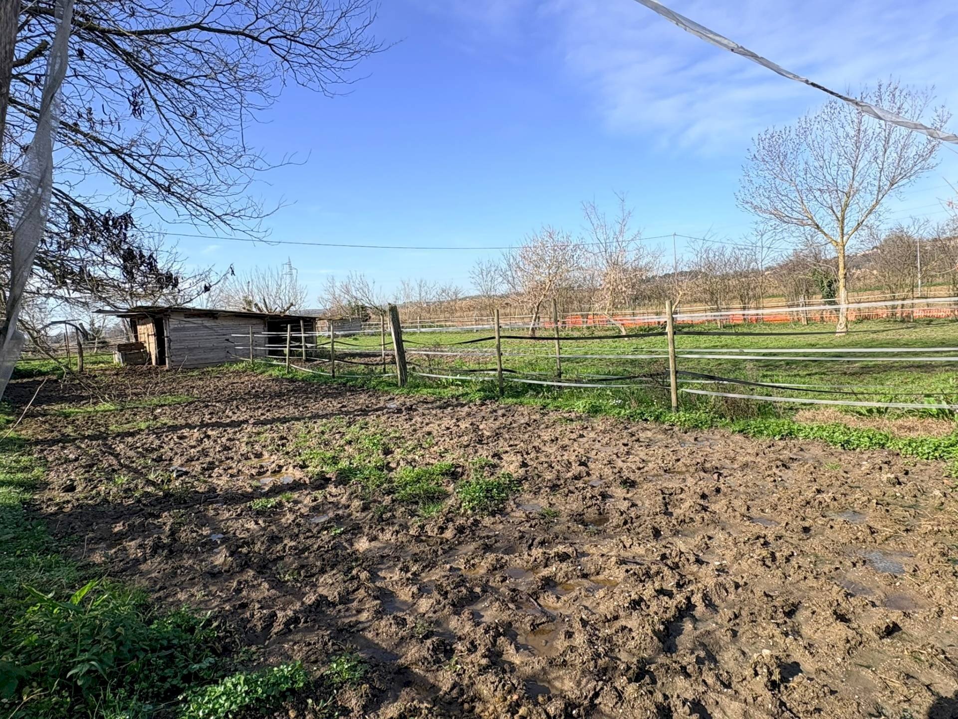 Foto 1 - Terreno agricolo via san bernardo, Chiaravalle - foto 1