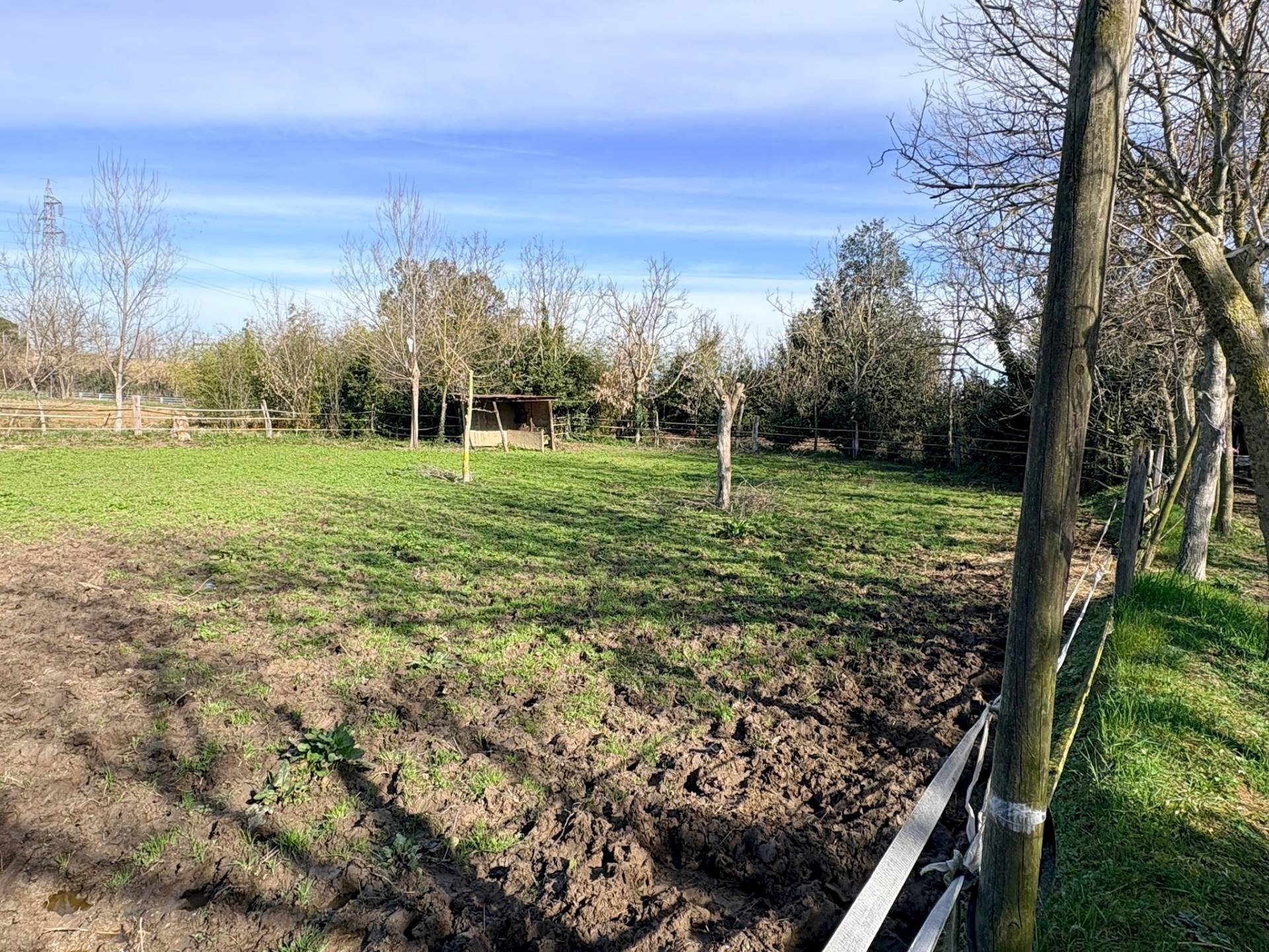 Foto 3 - Terreno agricolo via san bernardo, Chiaravalle - foto 3