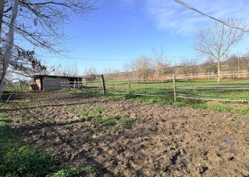 Foto 1 - Terreno agricolo via san bernardo, Chiaravalle - foto 1