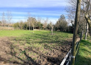 Foto 3 - Terreno agricolo via san bernardo, Chiaravalle - foto 3
